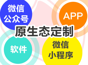 软件开发需求