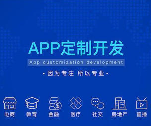 软件开发需求