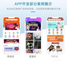 软件开发需求