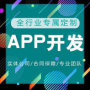 系统软件/应用软件开发、网站网页开发、软件开发